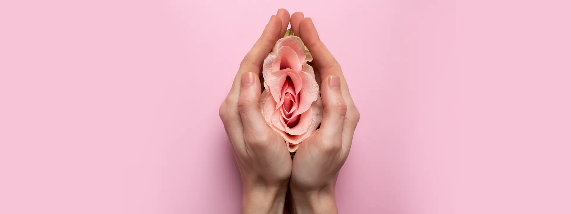 What is Genital Aesthetic Surgery? What is Genital Aesthetic Surgery?