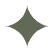 Star icon